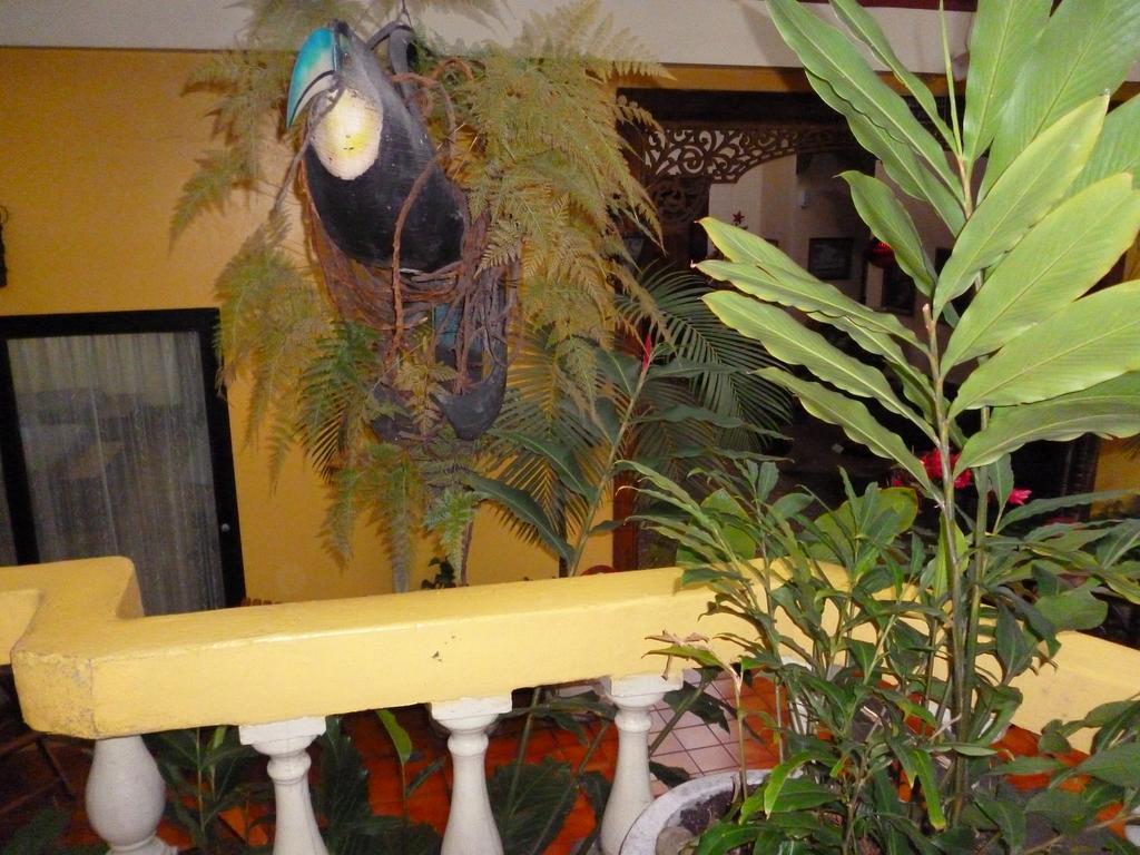 Hotel Don Carlos San José Esterno foto